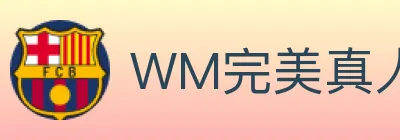 WM完美真人 logo
